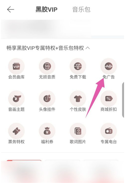 網易云音樂包和黑膠vip有什么區別