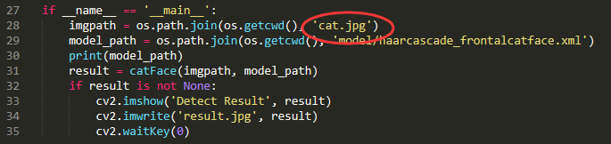 Python實戰之OpenCV實現貓臉檢測
