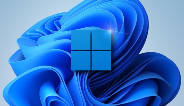 Win11如何查看隱藏項(xiàng)目？Win11查看隱藏項(xiàng)目的方法