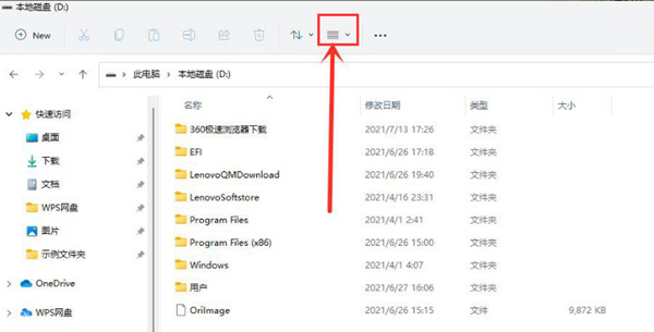 Win11如何查看隱藏項(xiàng)目？Win11查看隱藏項(xiàng)目的方法