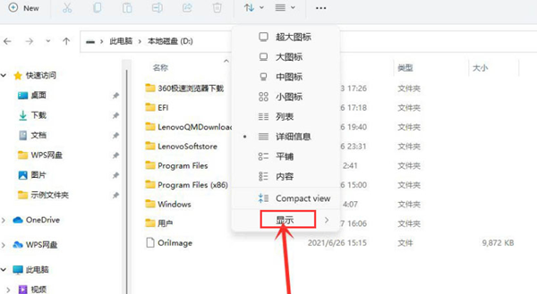 Win11如何查看隱藏項(xiàng)目？Win11查看隱藏項(xiàng)目的方法