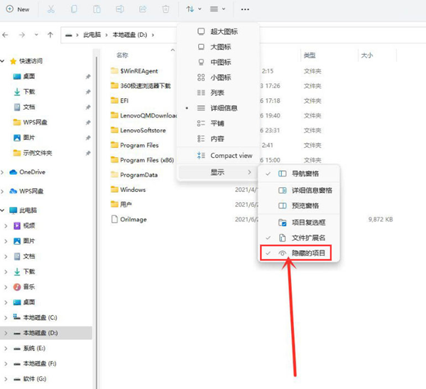 Win11如何查看隱藏項(xiàng)目？Win11查看隱藏項(xiàng)目的方法