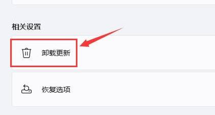 Win11一直黑屏轉(zhuǎn)圈怎么辦？Win11一直黑屏轉(zhuǎn)圈的解決方法