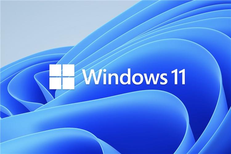 Win11預(yù)覽版和正式版有什么區(qū)別？預(yù)覽版可以升級(jí)正式版嗎？