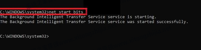 Windows11更新卡在100%怎么解決？