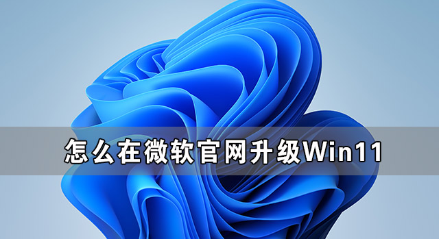 怎么在微軟官網升級Win11 Win11官方升級方法介紹