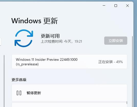 Win11升級(jí)22449.1000版本卡在49%怎么辦？