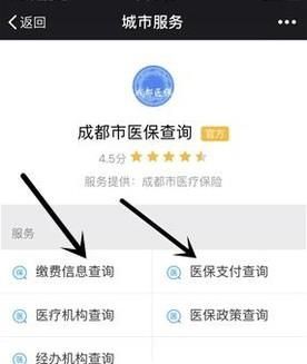 不用關注,微信直接查詢社保(醫保)余額/繳費