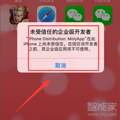 蘋果12pro max可以微信分身嗎