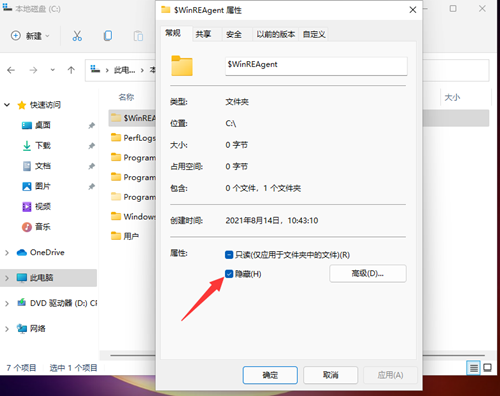 Win11如何查看所隱藏的文件？Win11查看隱藏的文件的方法