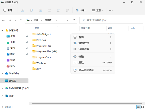 Win11如何查看所隱藏的文件？Win11查看隱藏的文件的方法