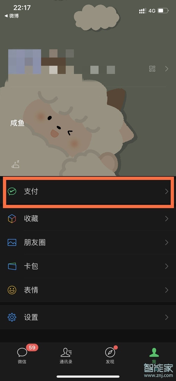 蘋果手機微信支付怎么加密