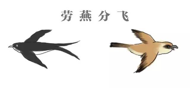 2021年5月10日支付寶螞蟻莊園答案是什么？螞蟻莊園小課堂5.10今日最新答案