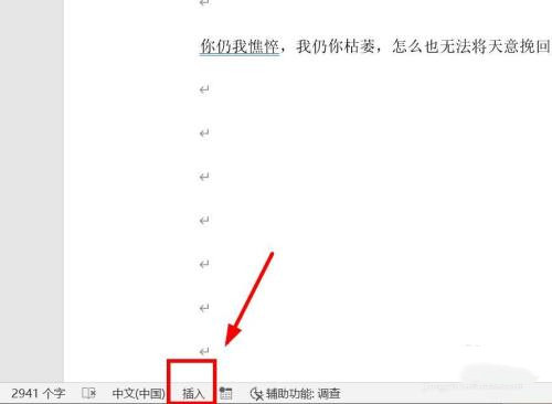 WPS文檔編輯時(shí)吞字怎么辦？