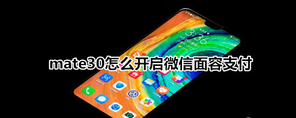 mate30怎么開(kāi)啟微信面容支付