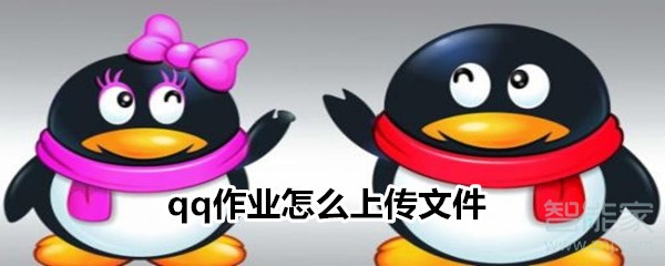 qq作業(yè)怎么上傳文件