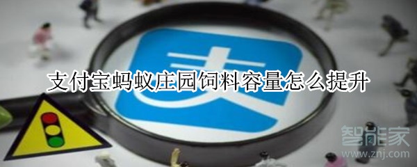 支付寶榮耀點怎么獲得