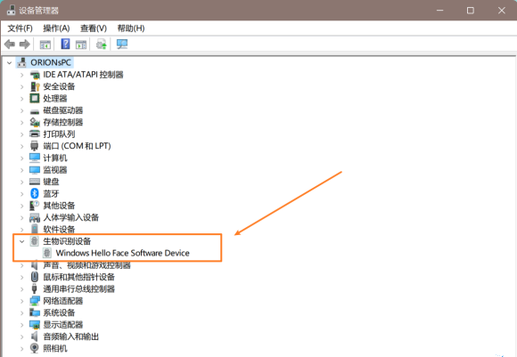 Win11無法使用面部識(shí)別怎么解決?