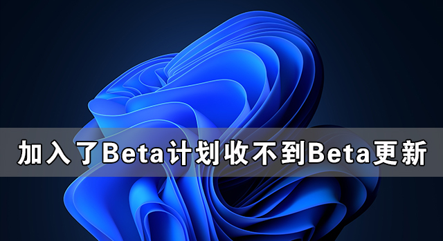 Windows系統(tǒng)加入了Beta計劃卻收不到Win11 Beta的更新