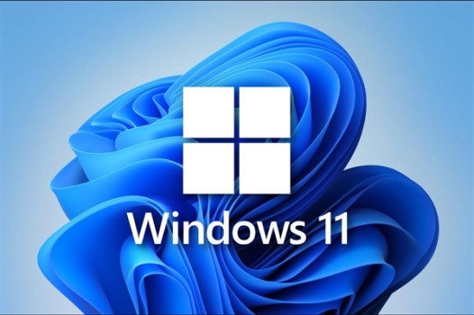 Win11不能參加預覽體驗計劃怎么辦？Win11不能參加預覽體驗計劃解決方法