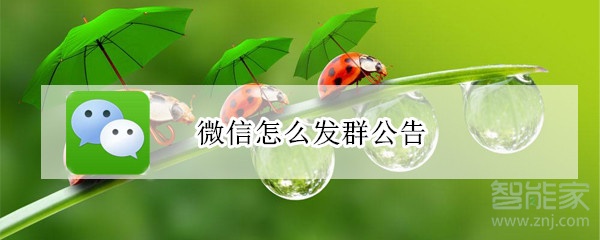 微信怎么發(fā)群公告