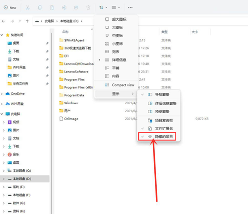 Win11如何查看隱藏文件？Win11查看隱藏文件的方法