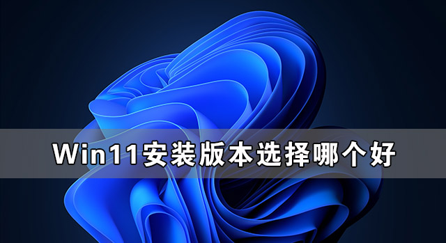 Win11安裝版本選擇哪個好 怎么選擇Win11安裝版本