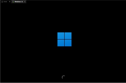 Win11安裝提示tpm2.0怎么辦？Win11安裝提示tpm2.0解決方法