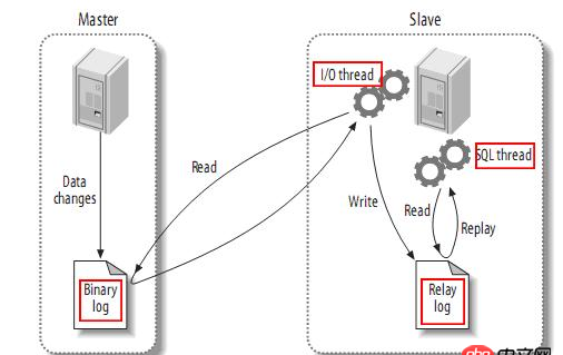 mysql - sql數據還原