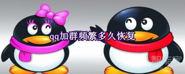 qq加群頻繁多久恢復(fù)