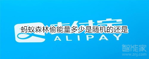 螞蟻森林偷能量多少是隨機(jī)的還是