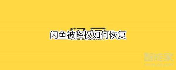 閑魚被降權如何恢復