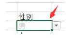 excel自定義表格顏色規則教程分享