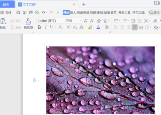 word圖片柔化邊緣設(shè)置教程分享