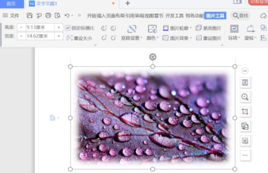 word圖片柔化邊緣設(shè)置教程分享