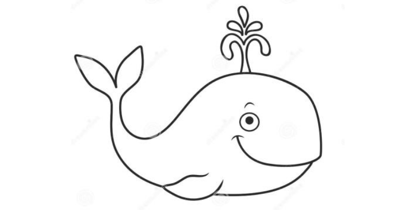 QQ畫圖紅包怎么畫鯨魚 QQ畫圖紅包鯨魚畫法一覽