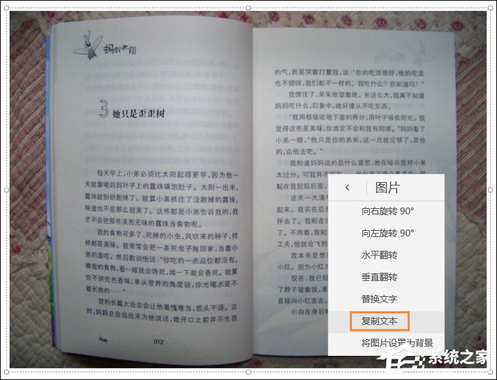 Win10系統(tǒng)如何利用OneNote將圖片轉(zhuǎn)換文字？