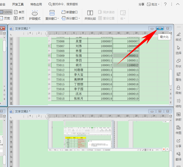 WPS中Excel怎么打開多個窗口