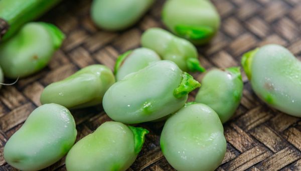 蠶豆瓣怎么保存 蠶豆的營養價值