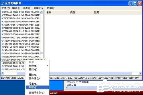 WinXP系統Flash Player安裝遇到錯誤怎么辦？