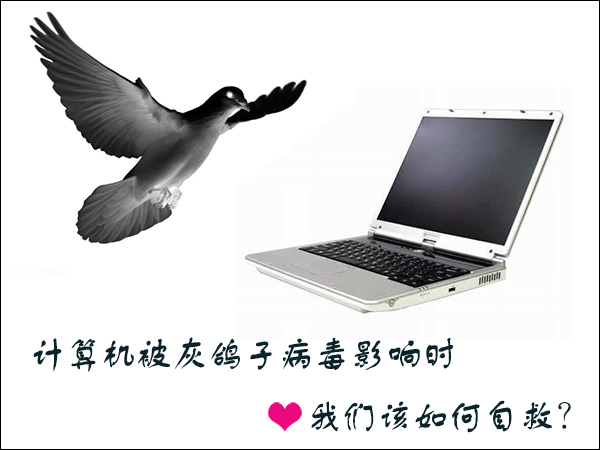 Win7環境下怎么清理灰鴿子病毒？灰鴿子病毒有哪些危害