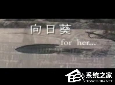 WinXP系統(tǒng)怎么打開DAT格式文件？
