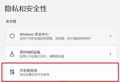 Win11怎么開啟開發者選項?Win11打開開發人員選項教程