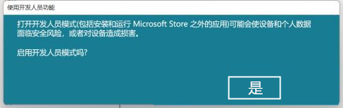 Win11怎么開啟開發者選項?Win11打開開發人員選項教程