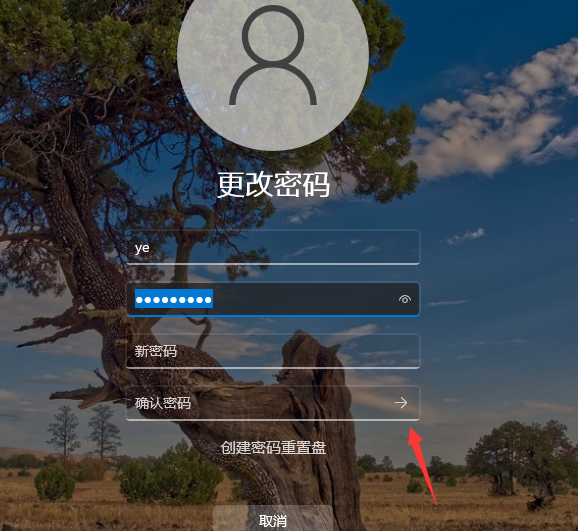 Win11怎么取消開機密碼 Win11取消開機密碼方法教程