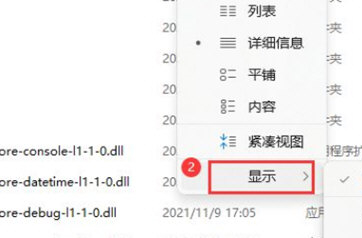 Win11如何展示文件擴展名？Win11展示文件擴展名的方法