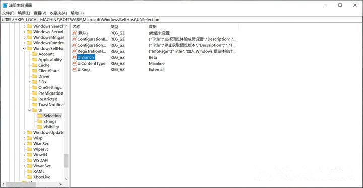不支持Win11怎么升級？解除限制強制升級Win11