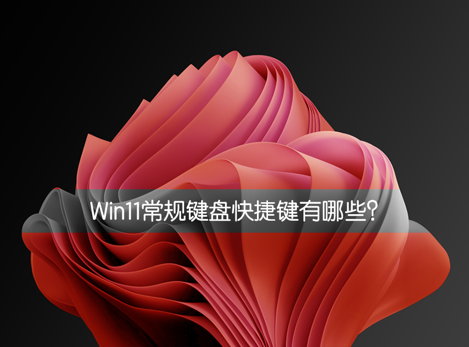 Win11常規鍵盤快捷鍵有哪些？Win11常規鍵盤快捷鍵介紹