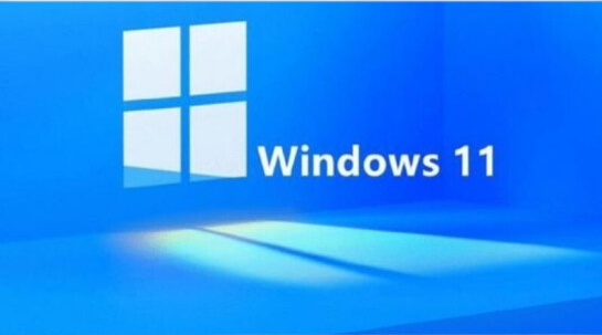 Windows11查找網(wǎng)絡(luò)mac地址步驟介紹