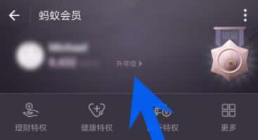 支付寶如何查看螞蟻會員積分?螞蟻會員積分查看步驟介紹